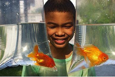 传言称《龙珠Z：电光火石0》登场角色数量庞大