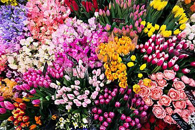 开放世界新作《Tchia》发布实机介绍系列视频